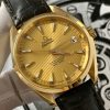 Omega Seamaster Aqua Terra 18k Gold 231.53.39.21.08.001