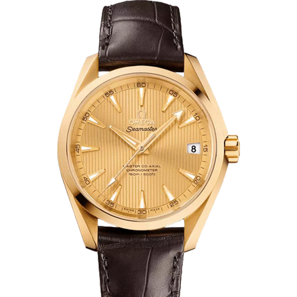 Omega Seamaster Aqua Terra 18k Gold 231.53.39.21.08.001