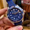 Omega Seamaster Diver 300 Co-Axial Master Chronometer 210.22.42.20.03.002
