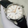 Omega Seamaster Aqua Terra 231.13.39.21.02.002