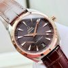 Omega Aqua Terra 220.20.41.21.06.001