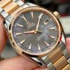 Omega Seamaster Aqua Terra Co-Axial Chronometer 231.20.42.21.06.001