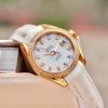 Omega Sea Master Aqua Terra 231.58.30.20.55.002