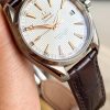 Omega Seamaster Aqua Terra Chronometer 231.13.42.21.02.003