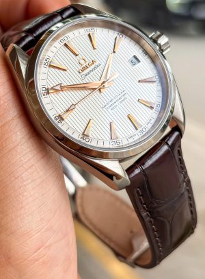 Omega Seamaster Aqua Terra Chronometer 231.13.42.21.02.003