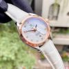 Omega Seamaster Aqua Terra MOP 231.23.34.20.55.001