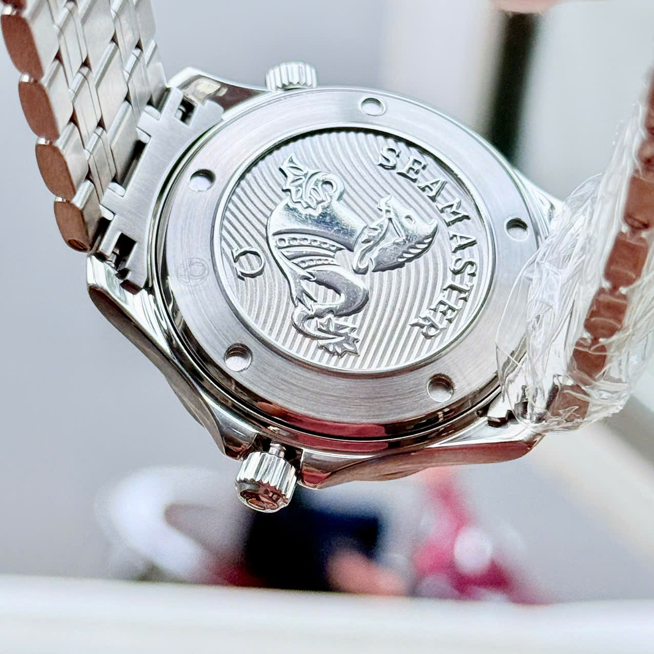 456536368187558353613
