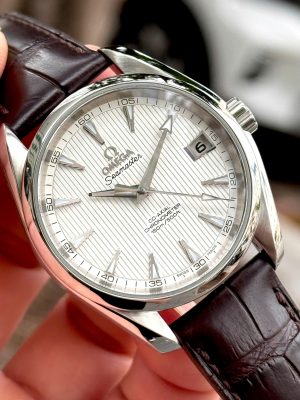Omega Seamaster Aqua Terra 231.13.39.21.02.001
