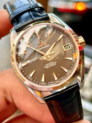 Omega Aqua Terra 231.20.39.21.06.001