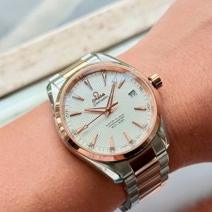 Omega Aqua Terra Master Co-Axial 231.20.42.21.02.001